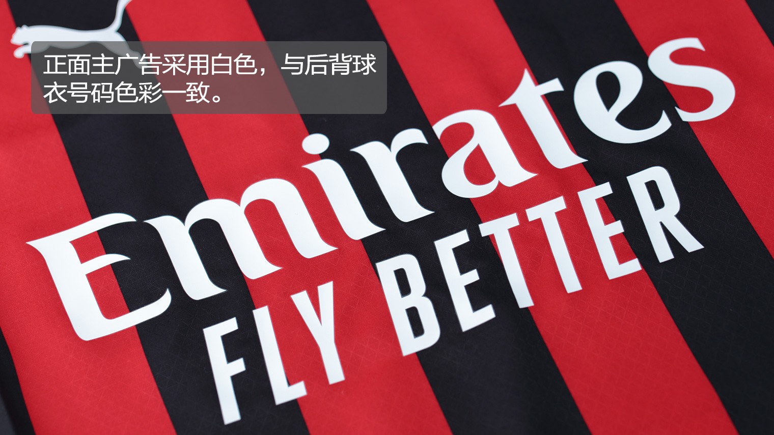 天津男篮猛将伤无大碍