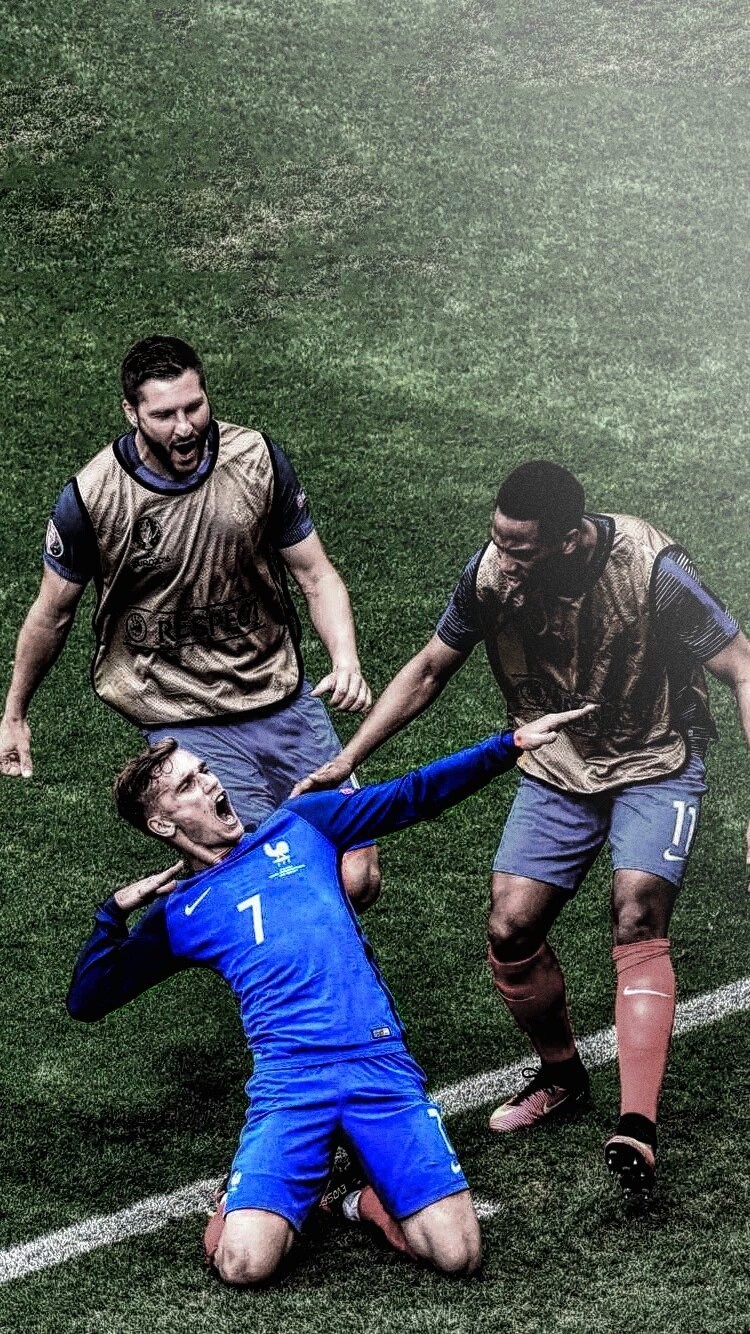 体育博彩算法软件市场研究